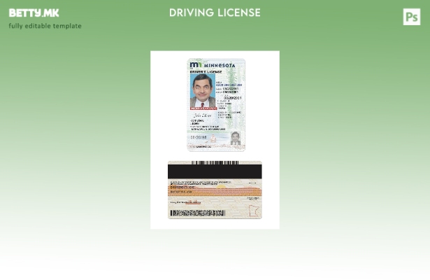 Возачка дозвола во модерен стил САД Минесота под шаблон